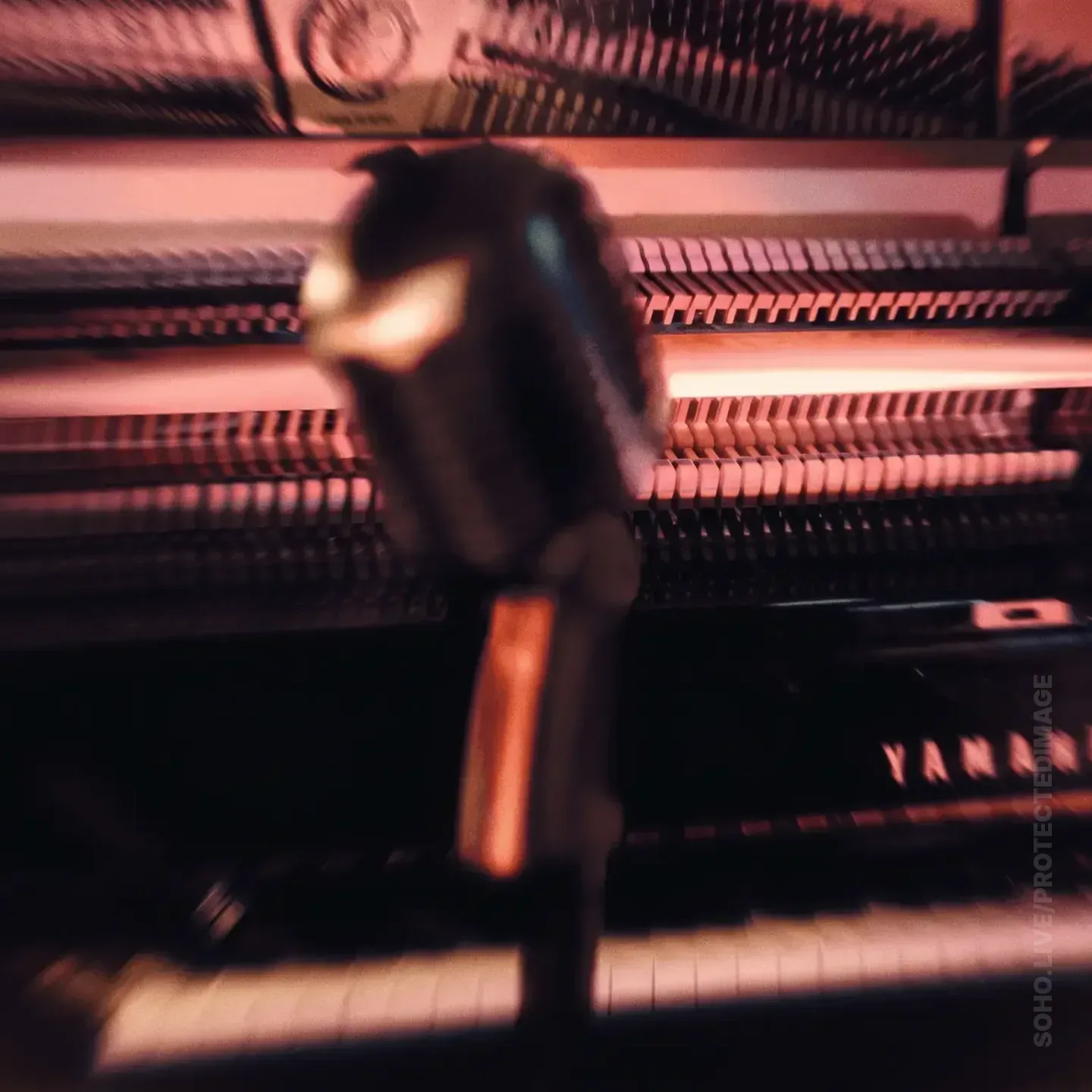 Yamaha Piano and Microphone Detail Shot